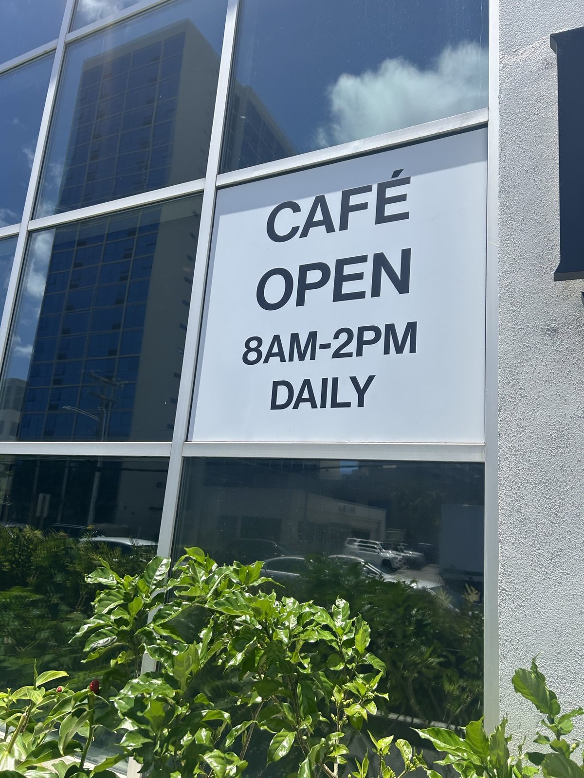A "Café open 8am-2pm daily" sign on the glass