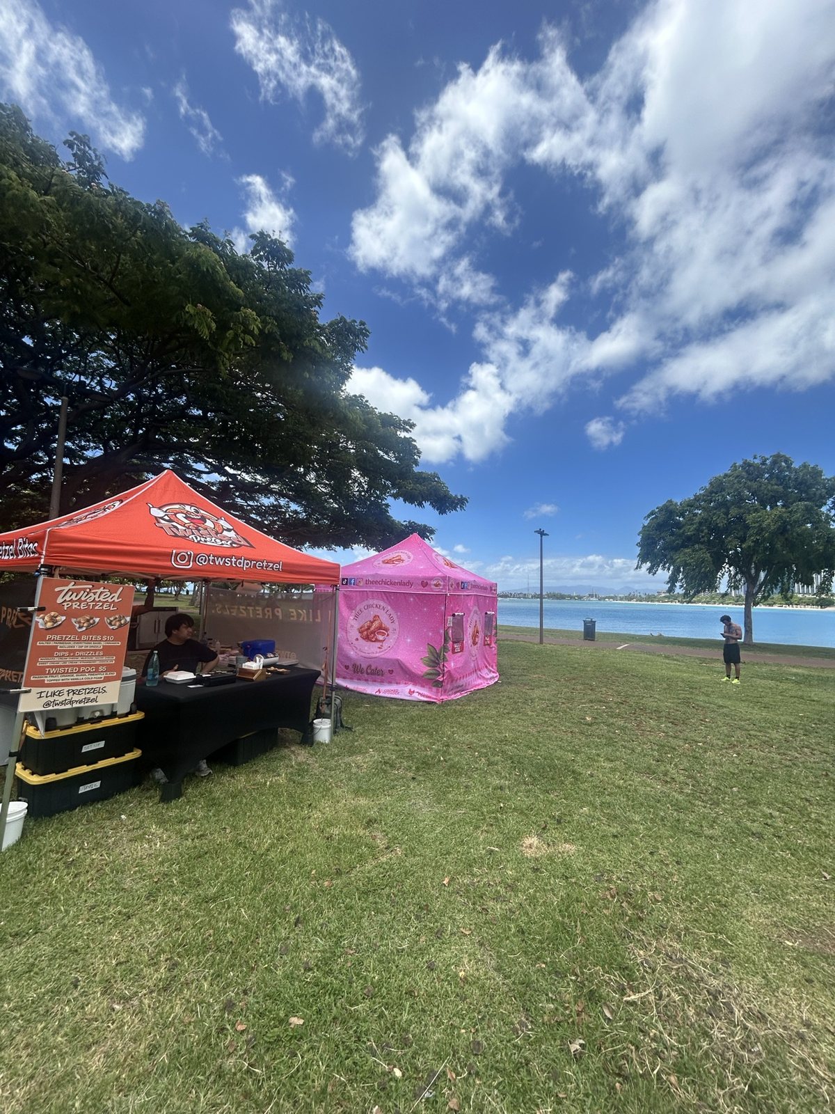 The two tents on the lawn by the water